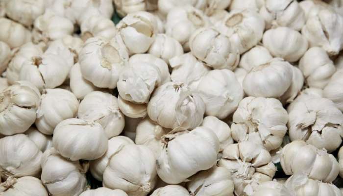 Garlic Side Effects: చైనీస్ వెల్లుల్లితో జాగ్రత్త, కోమాలో వెళ్లే ప్రమాదం