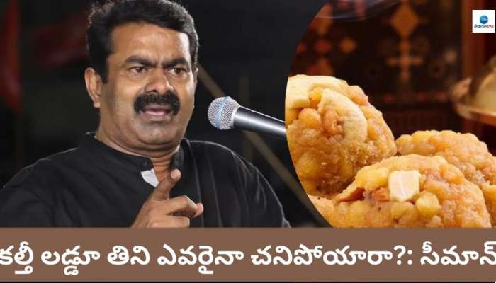 Tirumala Laddu Controversy: కల్తీ లడ్డూ తిని ఎవరైనా చనిపోయారా? లడ్డూ బూందీ అంటూ రాజకీయాలు చేయొద్దు: సీమాన్