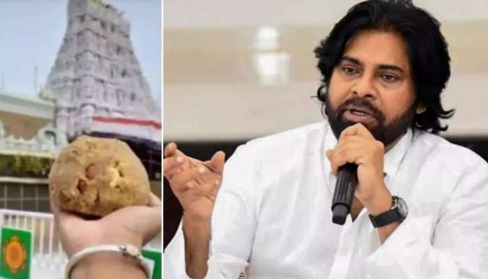 Pawan Kalyan: తిరుమల లడ్డుపై పవన్ సంచలన నిర్ణయం..11 రోజులపాటు ప్రాయశ్చిత్త దీక్ష 