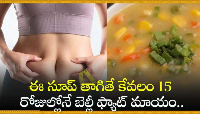  Belly Fat Recipes: ఈ సూప్ తాగితే కేవలం 15 రోజుల్లోనే బెల్లీ ఫ్యాట్ మాయం.. ఆశ్చర్యపోకండి!