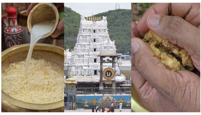 Tirupati Laddu Prasadam: తిరుపతి లడ్డూ ఈజీగా తయారు చేసే విధానం.. 14 మిలియన్లు క్రాస్‌ చేసిన రిసిపీ వీడియో మీకోసం..‌