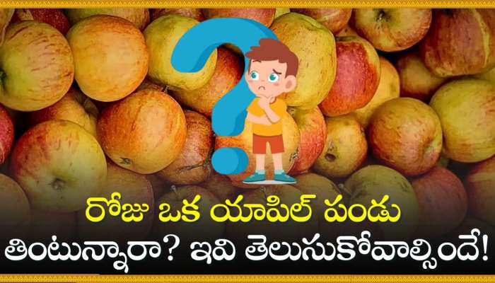 Apple Fruit Benefits: రోజు ఒక యాపిల్ పండు తింటున్నారా? ఇవి తెలుసుకోవాల్సిందే!