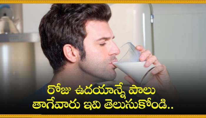 Hidden Milk Facts: రోజు ఉదయాన్నే పాలు తాగేవారు ఇవి తెలుసుకోండి.. ఎందుకంటే..