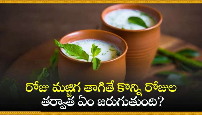 Buttermilk Hidden Facts: రోజు మజ్జిగ తాగితే కొన్ని రోజుల తర్వాత ఏం జరుగుతుంది?