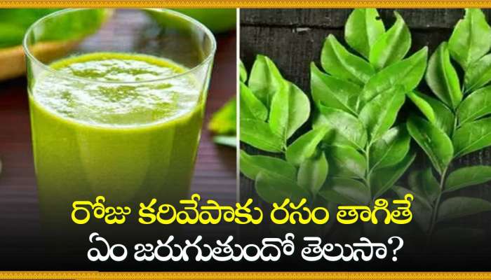 Curry Leaves Juice Facts: రోజు కరివేపాకు రసం తాగితే ఏం జరుగుతుందో తెలుసా? 