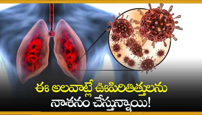  Lungs Damage: ఈ అలవాట్లే ఊపిరితిత్తులను నాశనం చేస్తున్నాయి! 