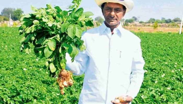 KCR Farmhouse: ఫాం హౌజ్ లో కేసీఆర్ చేస్తున్నది ఇదా..కేసీఆర్ ను చూసి షాక్ అవుతున్న క్యాడర్