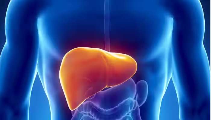 Fatty Liver Remedy: ఫ్యాటీ లివర్ వ్యాధి ఎన్ని రకాలు, లివర్‌లో కొవ్వును తొలగించే అద్భుత చిట్కాలు