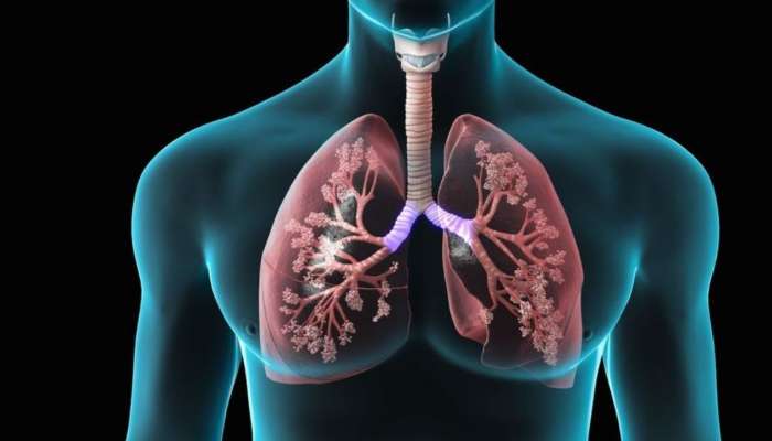  Lungs Problems: ఊపిరితిత్తులు ముసలివైపోతున్నాయని తెలిపే సంకేతాలు ఇవే..