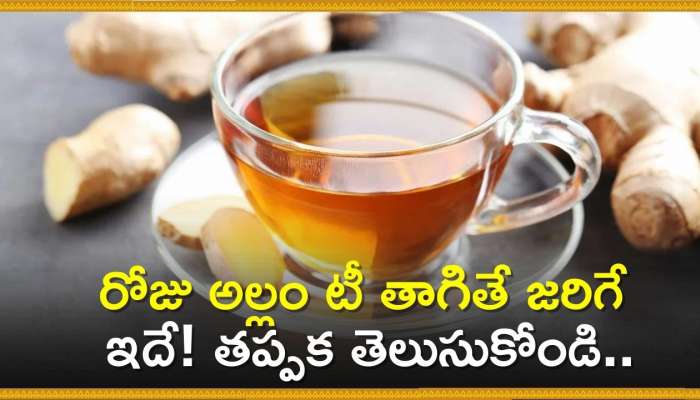 Ginger Tea Facts: రోజు అల్లం టీ తాగితే జరిగే ఇదే! తప్పక తెలుసుకోండి..