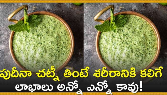  Mint Chutney Facts: పుదీనా చట్నీ తింటే శరీరానికి కలిగే లాభాలు అన్నో ఎన్నో కావు! 