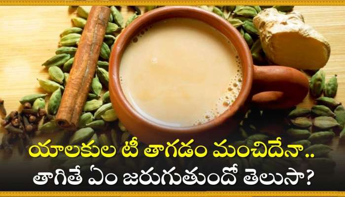 Cardamom Tea Benefits: యాలకుల టీ తాగడం మంచిదేనా.. తాగితే ఏం జరుగుతుందో తెలుసా?