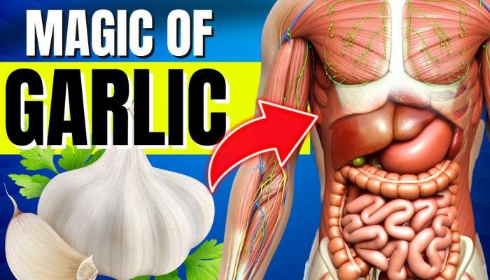 Raw Garlic: రోజూ ఒక పచ్చి వెల్లుల్లి తింటే శరీరంలో జరిగే మ్యాజిక్ ఇదే ...