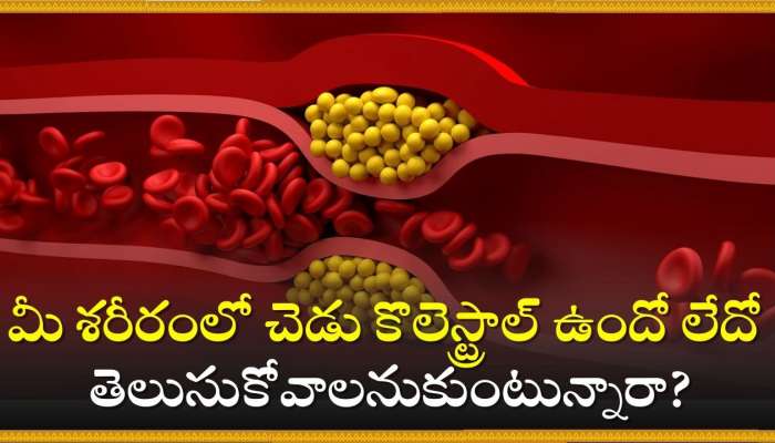 Bad Cholesterol: మీ శరీరంలో చెడు కొలెస్ట్రాల్ ఉందో లేదో తెలుసుకోవాలనుకుంటున్నారా?