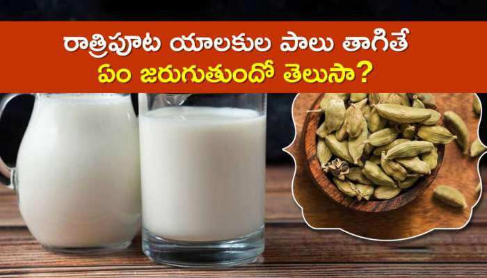  Cardamom Milk: రాత్రిపూట యాలకుల పాలు తాగితే ఏం జరుగుతుందో తెలుసా?