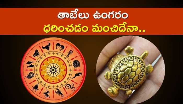   Tortoise Ring Facts: తాబేలు ఉంగరం ధరించడం మంచిదేనా.. పెట్టుకుంటే ఏం జరుగుతుందో తెలుసా?