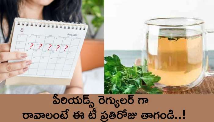 Parsley Tea: పీరియడ్స్ రెగ్యులర్ గా  రావాలంటే ఈ టీ ప్రతిరోజు తాగండి..!