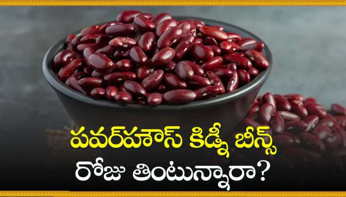 Rajma Benefits Facts: పవర్‌హౌస్ కిడ్నీ బీన్స్‌ రోజు తింటున్నారా? ఏం జరుగుతుందో తెలుసుకోండి!