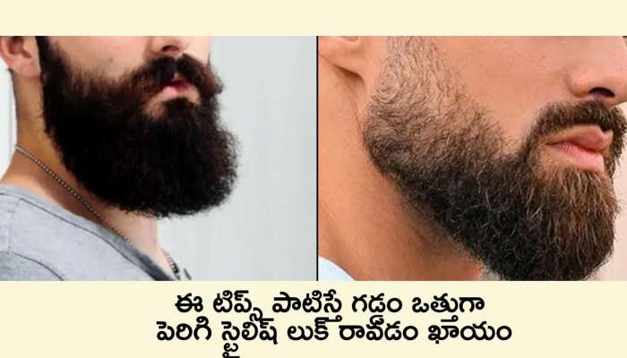 How To Grow A Beard: ఈ టిప్స్‌ పాటిస్తే గడ్డం ఒత్తుగా పెరిగి.. స్టైలిష్‌గా కనిపించడం ఖాయం..!