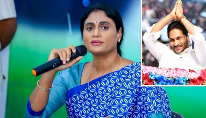 YS Sharmila: వైఎస్సార్‌కు సొంత కొడుకై ఉండీ వైఎస్‌ జగన్‌ మోసం.. అన్నపై చెల్లెలు షర్మిల ఆగ్రహం