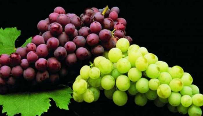 Grapes:  ద్రాక్ష పండు తినడం వల్ల శరీరానికి ఎలాంటి లాభాలు కలుగుతాయి...