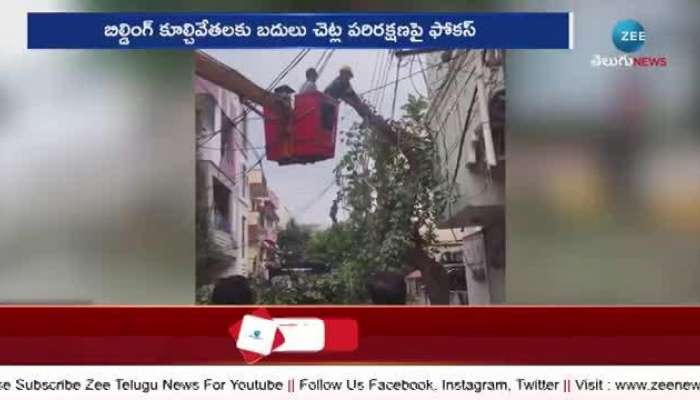 Hydra special focuses on trees in ghmc pa