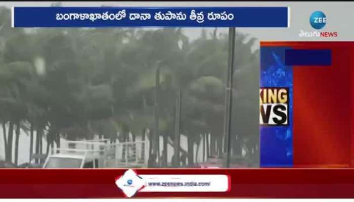 Weather Report: Cyclone Dana Alert Weather Report  Cyclone In Andhra Pradesh 