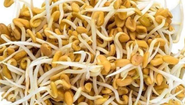 Sprouted Fenugreek: మొలకెత్తిన మెంతులు తినడం వల్ల కలిగే ప్రయోజనాలు ఏమిటి?