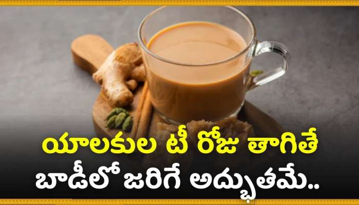  Elaichi Tea Benefits: యాలకుల టీ రోజు తాగితే బాడీలో జరిగే అద్భుతమే.. 