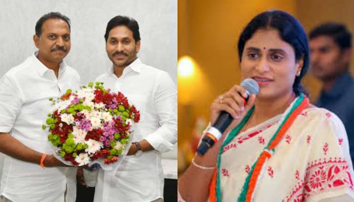 SV Satish Reddy: అన్న సంపాదనలో వాటా కోరడం తగునా...షర్మిలమ్మ నీ ఆశకు హద్దు ఉండాలి : ఎస్‌వీ సతీష్ రెడ్డి కామెంట్స్