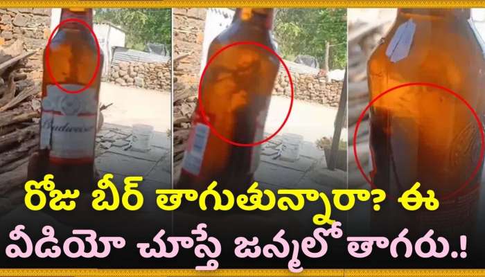 Viral News: రోజు బీర్ తాగుతున్నారా? ఈ వీడియో చూస్తే జన్మలో తాగరు!