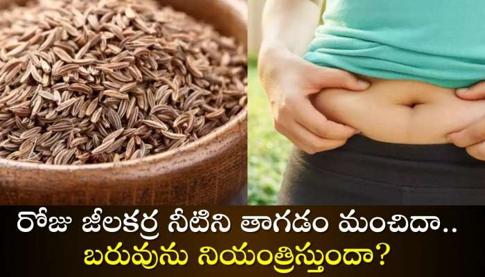 Cumin Water Facts: రోజు జీలకర్ర నీటిని తాగడం మంచిదా.. బరువును నియంత్రిస్తుందా?