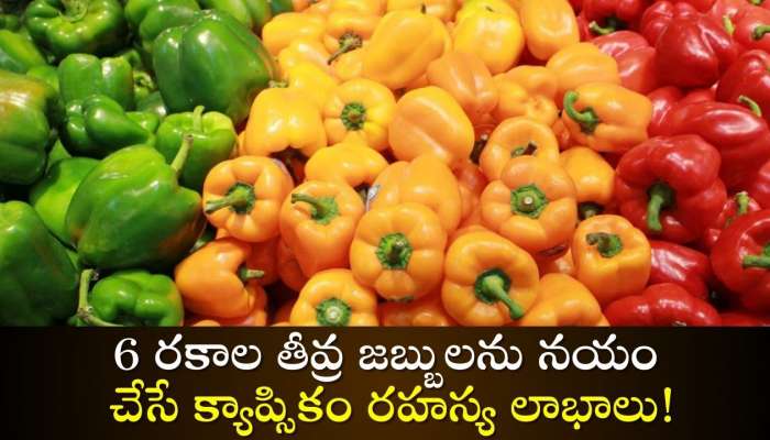 Capsicum Facts: 6 రకాల తీవ్ర జబ్బులను నయం చేసే క్యాప్సికం రహస్యం!