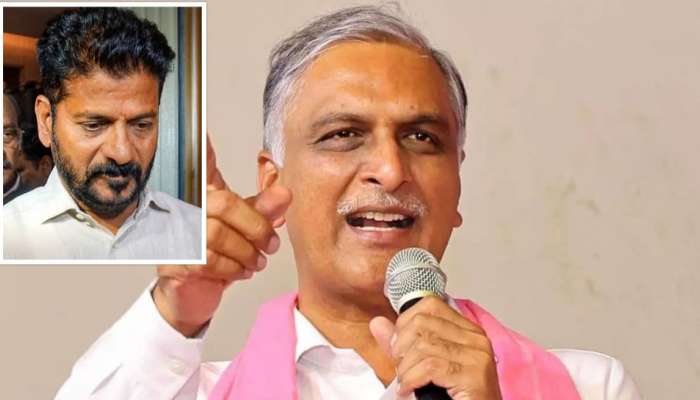 Harish Rao: రేవంత్ రెడ్డికి సీఎం పదవి కేసీఆర్ పెట్టిన భిక్ష: హరీశ్ రావు సంచలన వ్యాఖ్యలు