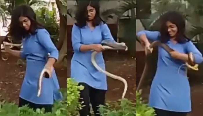 Snake Video: వడ్డానం అనుకుంటుందా ఏంటీ..?.. పామును నడుముకు చుట్టుకున్న యువతి.. షాకింగ్ వీడియో వైరల్..