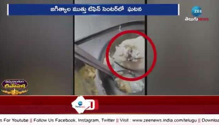 Cockroach In Idli: Cockroach In Idli Jagtial Viral Video