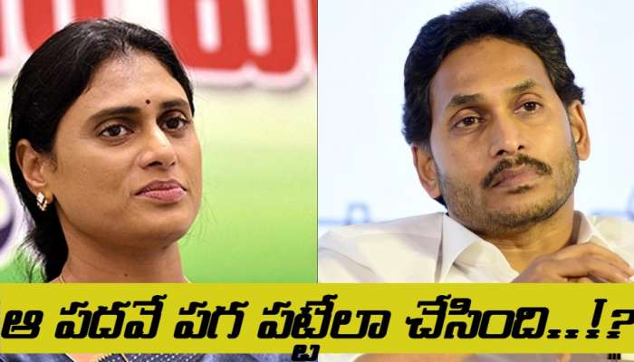 YS JAGAN vs SHARMILA :జగన్,షర్మిల మధ్య అసలు పంచాయితీ ఇదే.. ఆ పదవి వల్లే చిచ్చు! 