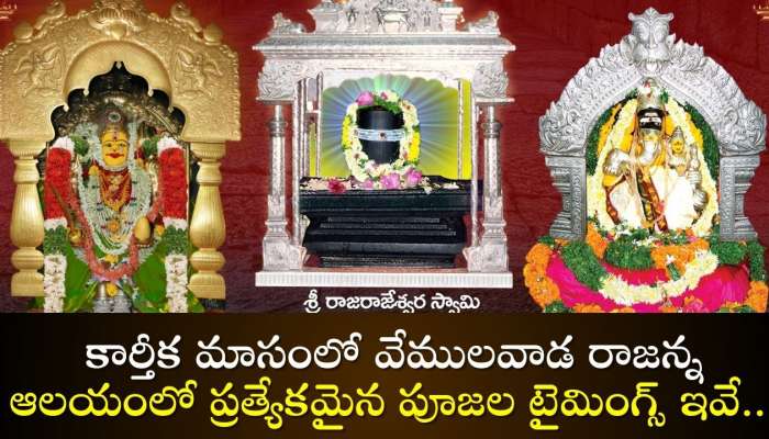 Vemulawada Temple: కార్తీక మాసంలో వేములవాడ రాజన్న ఆలయంలో ప్రత్యేకమైన పూజల టైమింగ్స్‌ ఇవే.. 