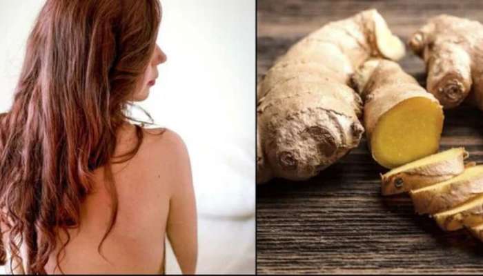 Ginger For Hair: అల్లం ఆయిల్ ను ఇలా జుట్టుకు రాస్తే.. అన్ని సమస్యలకు చెక్‌..!