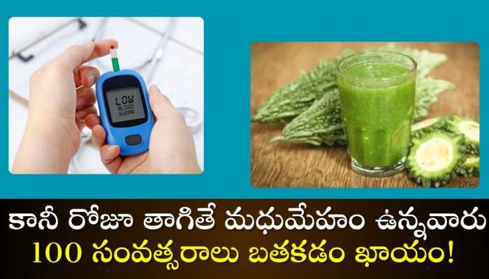 Kakarakaya Juice: ఈ రసం నోటికి ఎంతో చేదు.. కానీ రోజూ తాగితే మధుమేహం ఉన్నవారు 100 సంవత్సరాలు బతకడం ఖాయం!