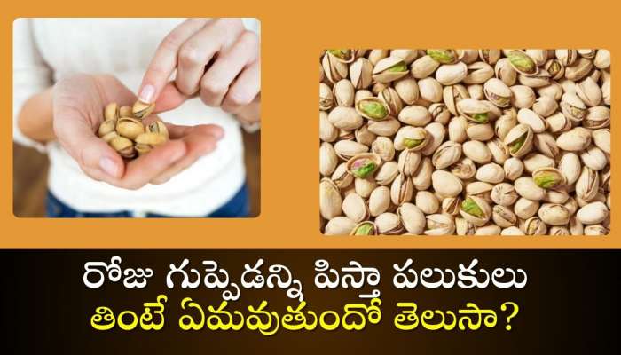  Pistachio Magic: రోజు గుప్పెడన్ని పిస్తా పలుకులు తింటే ఏమవుతుందో తెలుసా? 