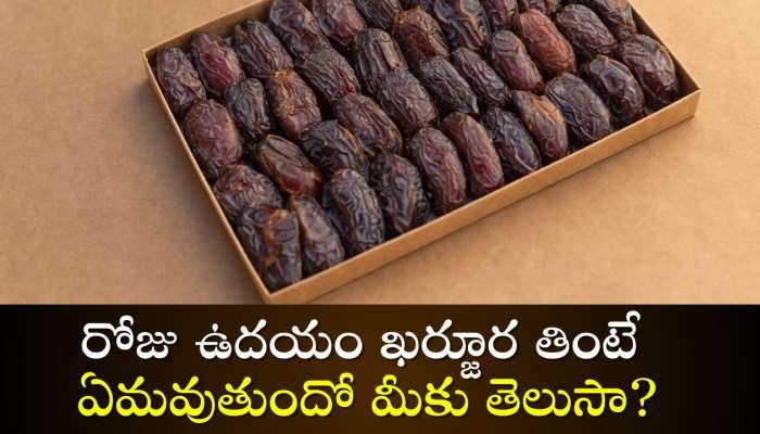 Dates Nutrition Facts: రోజు ఉదయం ఖర్జూర తింటే ఏమవుతుందో మీకు తెలుసా?