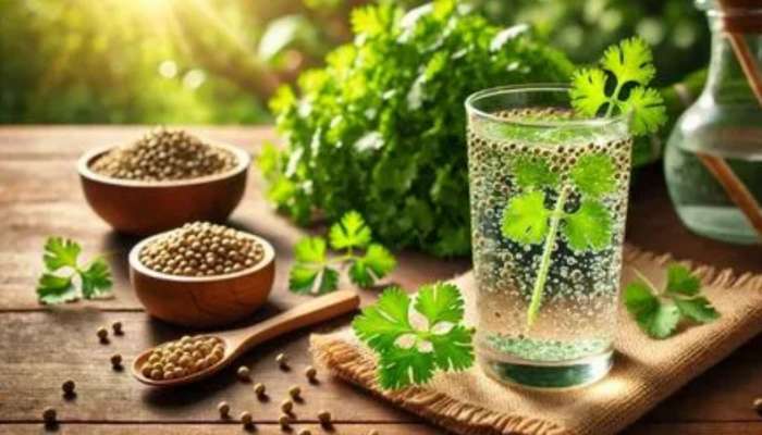 Coriander: కొత్తిమీరతో ఇలా చేస్తే ఒక నెలలో 2 కిలోల బరువు తగ్గడం ఖాయం..!