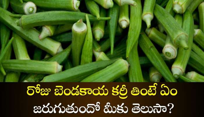  Lady Finger: రోజు బెండకాయ కర్రీ తింటే ఏం జరుగుతుందో మీకు తెలుసా?