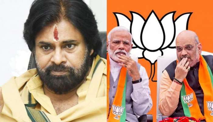 Pawan Kalyan: పవన్ కళ్యాణ్ కు కేంద్రం కీలక బాధ్యతలు.. 