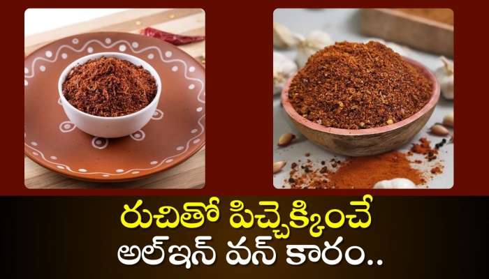 Vellulli Karam Recipe: రుచితో పిచ్చెక్కించే అల్‌ఇన్‌ వన్‌ కారం.. మాములు ఉండదు!