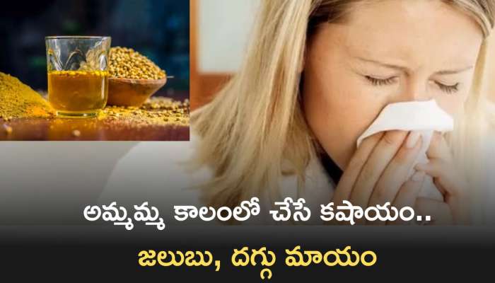 Coriander Water: అమ్మమ్మ కాలంలో చేసే కషాయం..జలుబు దగ్గు మాయం అవ్వాల్సిందే!!