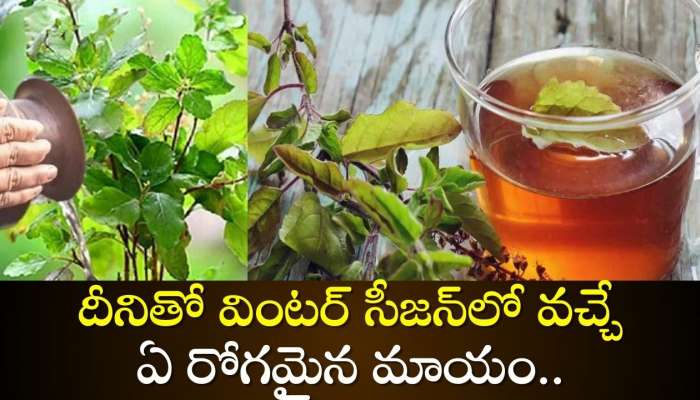 Winter Health Tips: దీనితో వింటర్‌ సీజన్‌లో వచ్చే ఏ రోగమైన మాయం.. 