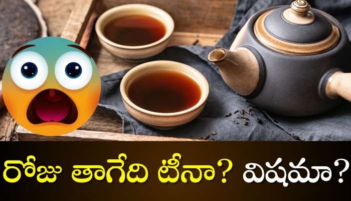 Tea Latest Side Effects: టీ అతిగా తాగుతున్నారా? హాస్పిటల్ ఖర్చులకు డబ్బులు సిద్ధం చేసుకోండి!