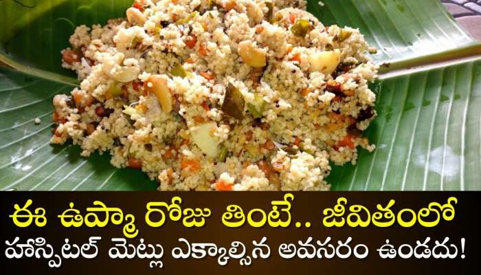 Healthy Best Upma Recipe: ఈ ఉప్మా రోజు తింటే.. జీవితంలో హాస్పిటల్ మెట్లు ఎక్కాల్సిన అవసరం ఉండదు!